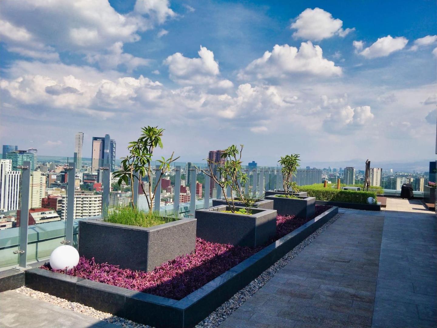 Luxurious High-Rise Hs Wifi, Amazing City Views 멕시코 시 외부 사진