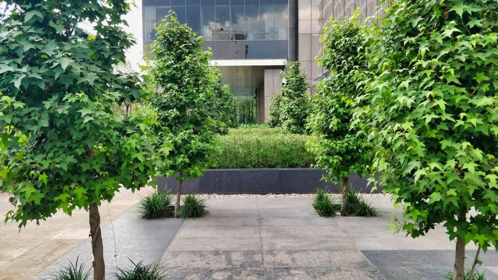 Luxurious High-Rise Hs Wifi, Amazing City Views 멕시코 시 외부 사진