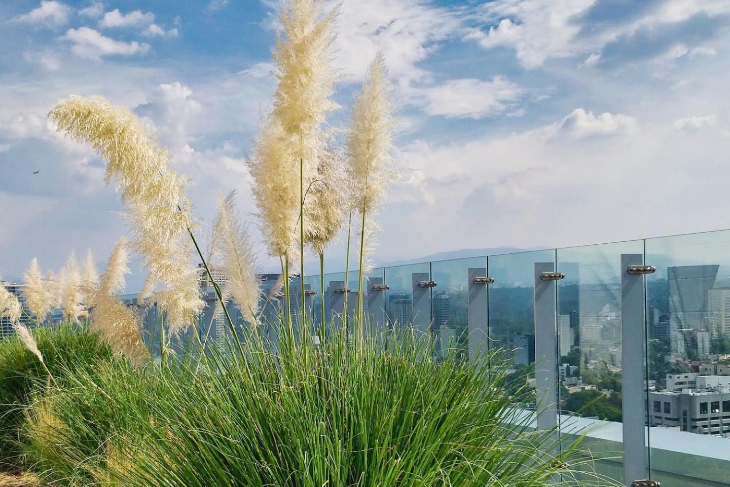 Luxurious High-Rise Hs Wifi, Amazing City Views 멕시코 시 외부 사진